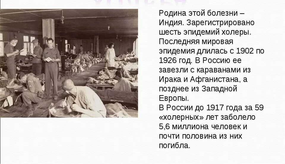 История насколько. Пандемия холеры в 19 веке в России.