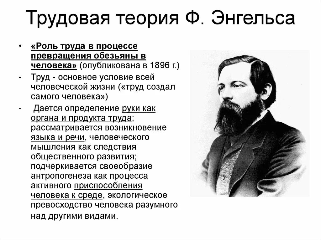 Трудовая гипотеза. Трудовая теория Фридриха Энгельса.