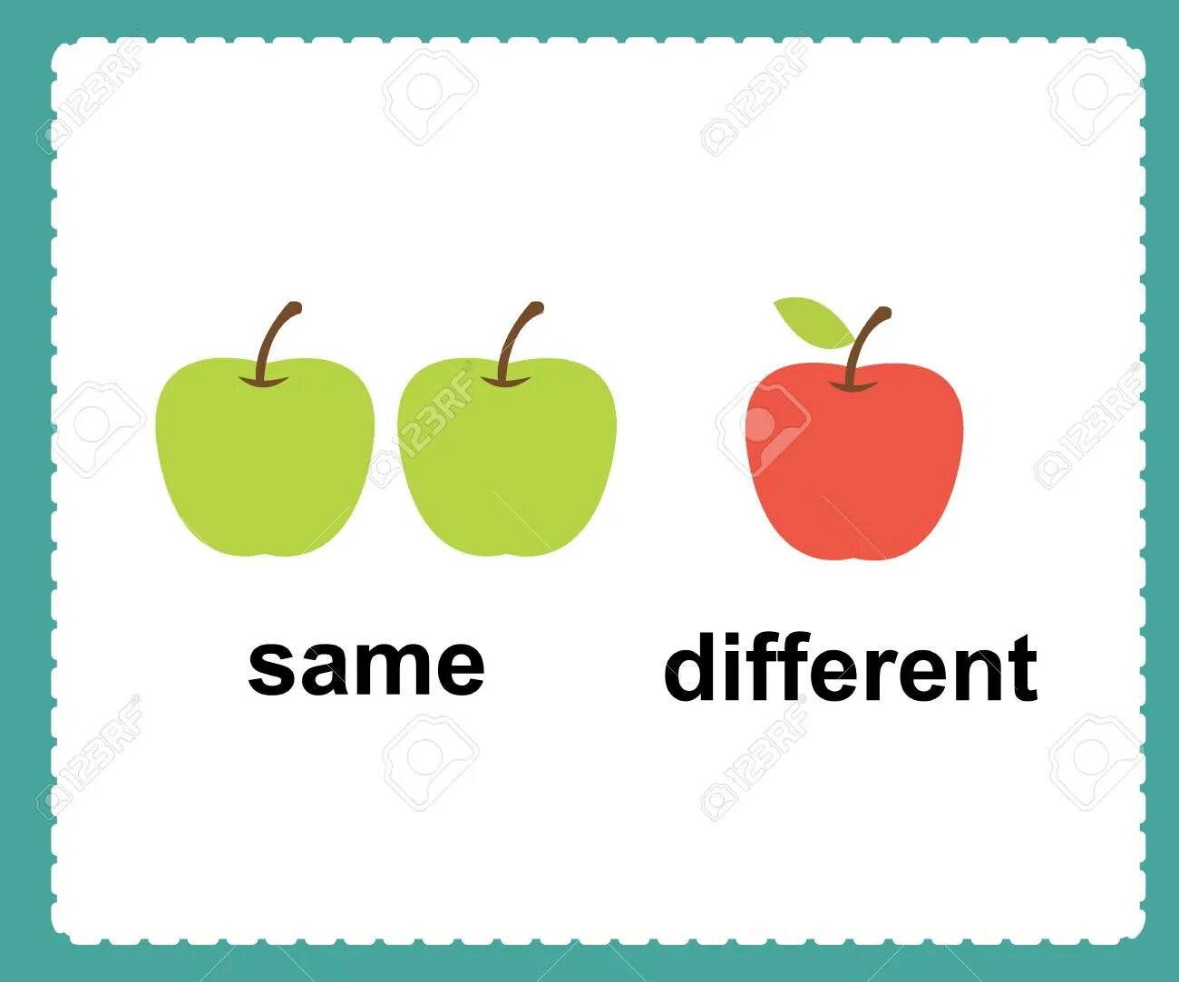 Same differently. Same different. Same different Flashcards. Same and different for Kids. Same different Flashcards for Kids.