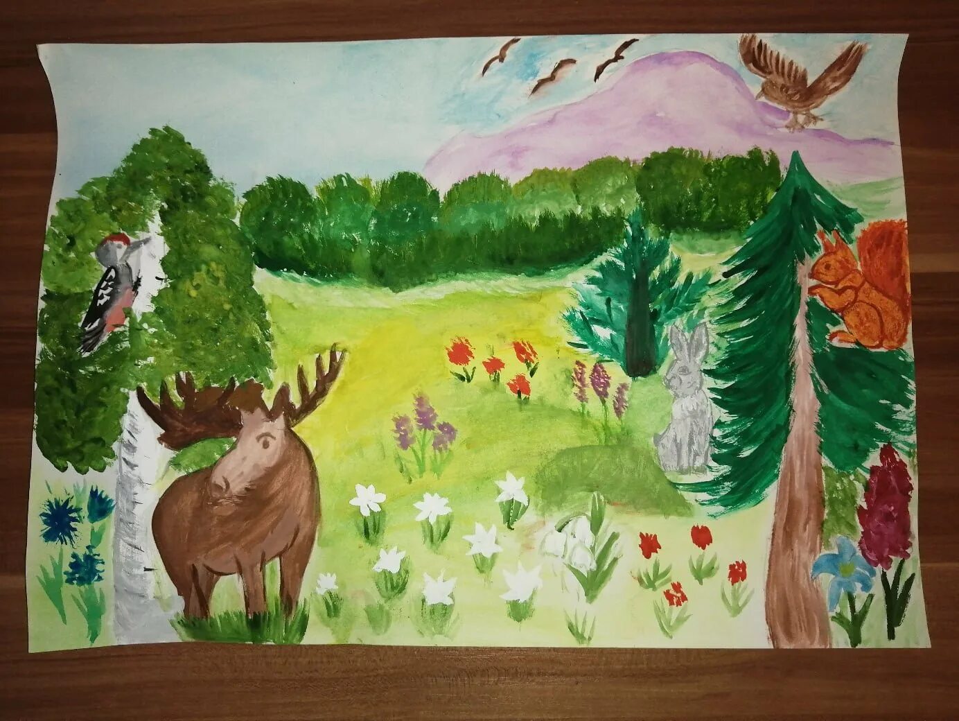 Рисунки на тему заповедные уголки родного края. Рисунок на тему заповедные уголки родного края. Рисунок мир заповедной природы для садика. Иллюстрации заповедников. Заповедник рисунок.