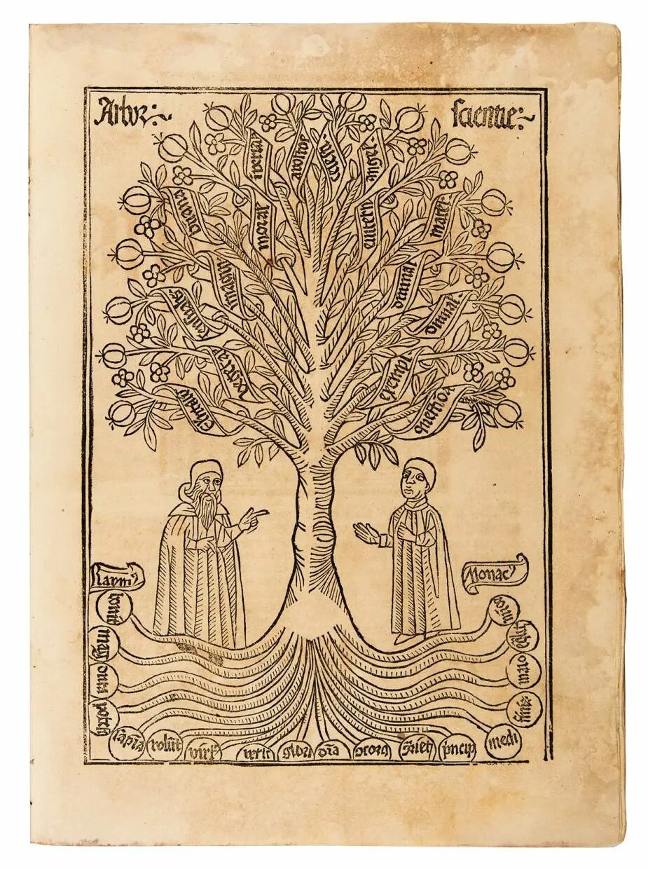 Дерево символ. Тайная жизнь деревьев питер вохлебен. Дерево жизни книга. Тайная жизнь деревьев книга. Дерево жизни.