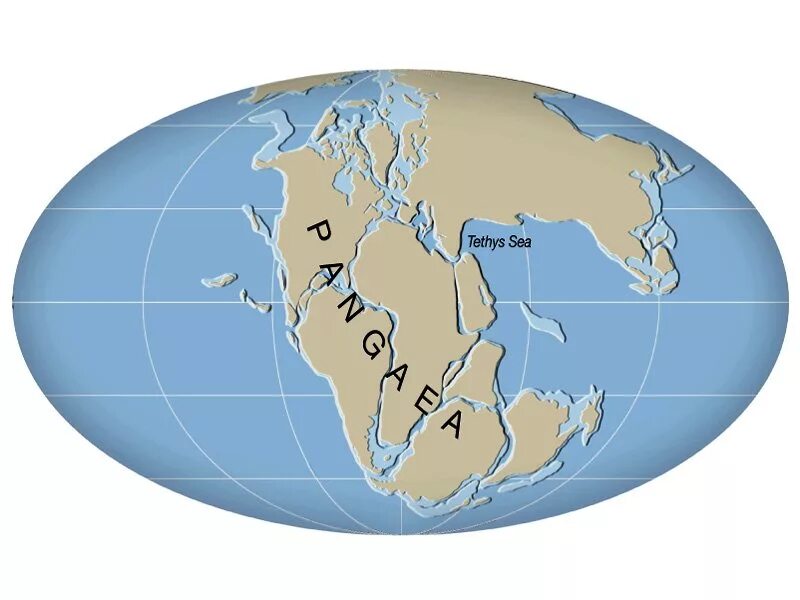 Суперконтинент Пангея. Праматерик Гондвана. Пангея материк. Карта земли Пангея. Единый материк в древности