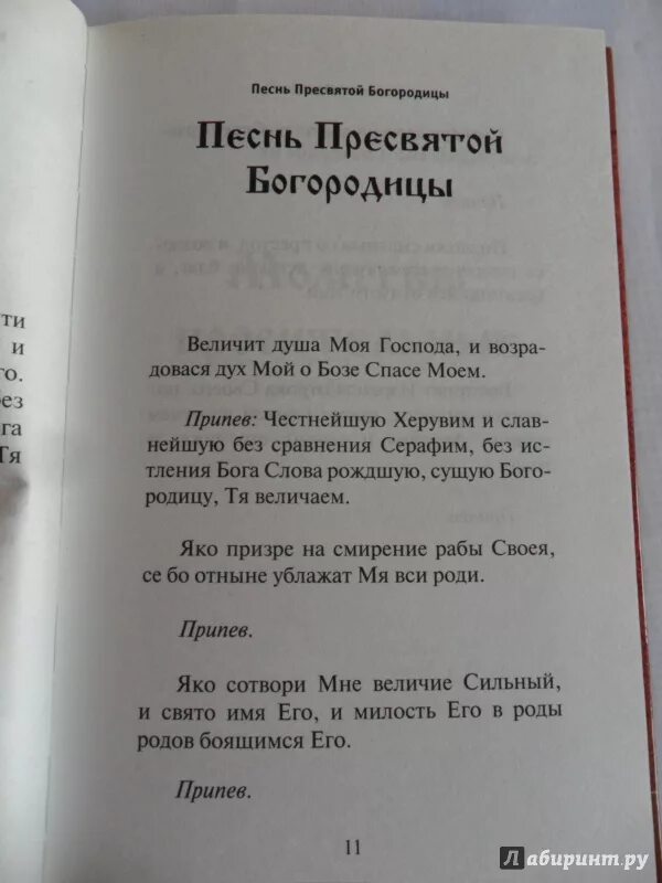 Песнь пресвятой богородицы величит душа. Песнь Богородице Величит душа моя Господа. Песнь Богородице слова.