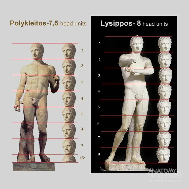 Тело насколько. Пропорции тела ребенка для скульптуры. Пропорции человека. Соотношение частей тела человека. Пропорции тела человека схема.