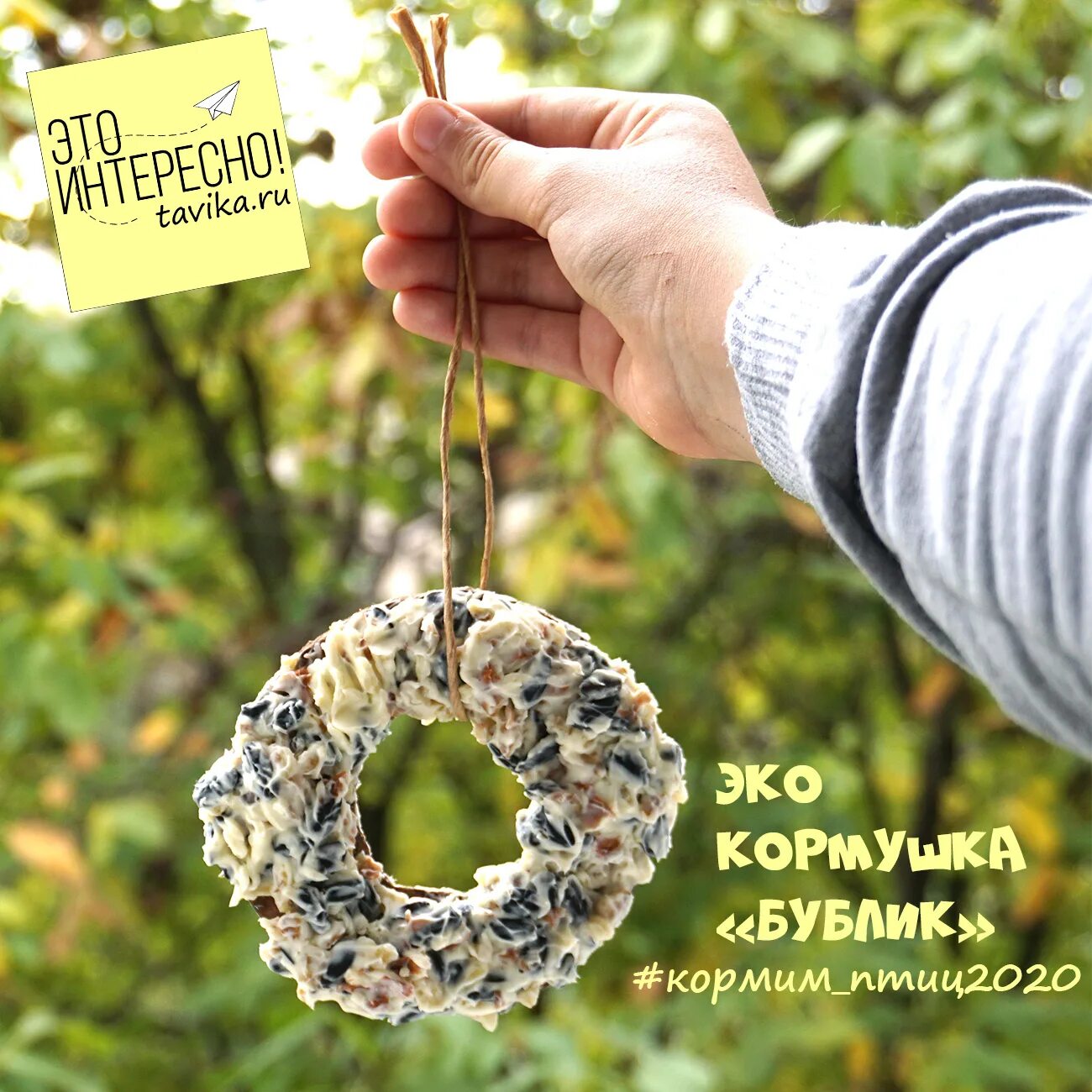 Мастер класс эко кормушка. Съедобная кормушка для птиц. Съедобная кормушка для птиц. Кормушка из природного материала. Мастер класс эко кормушка.