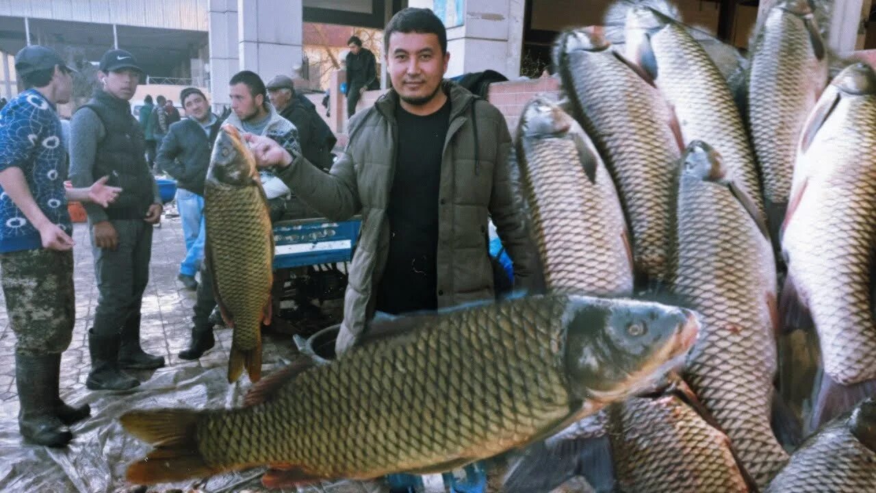 Чиназский рыбный базар Узбекистан. Рыбный рынок Чиназ в Узбекистане. Ташкент Чиназ. Чиноз балик. Чиназ это