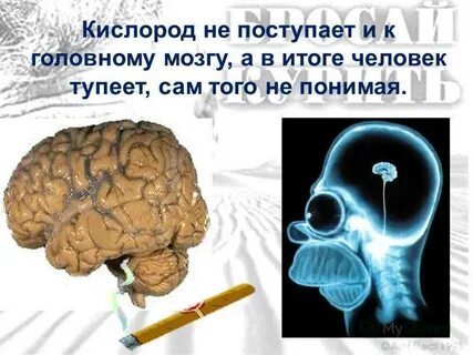 Курят мозг