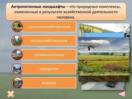 Какие ландшафты относятся к естественным