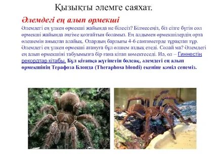 Қарау онлайн