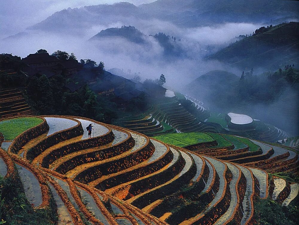 Террасы Лонгджи Китай. Гуйлинь рисовые поля горы. Гуйлинь рисовые террасы. Рисовые террасы Хунхэ-Хани в Китае.