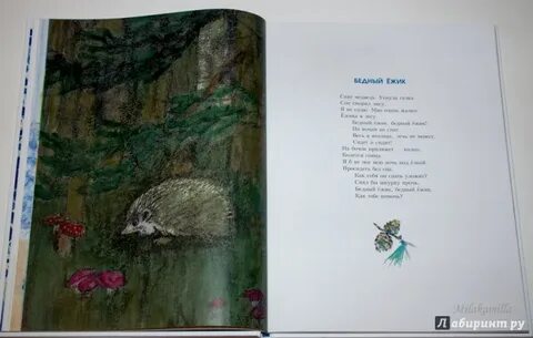 Песня бедный ежик