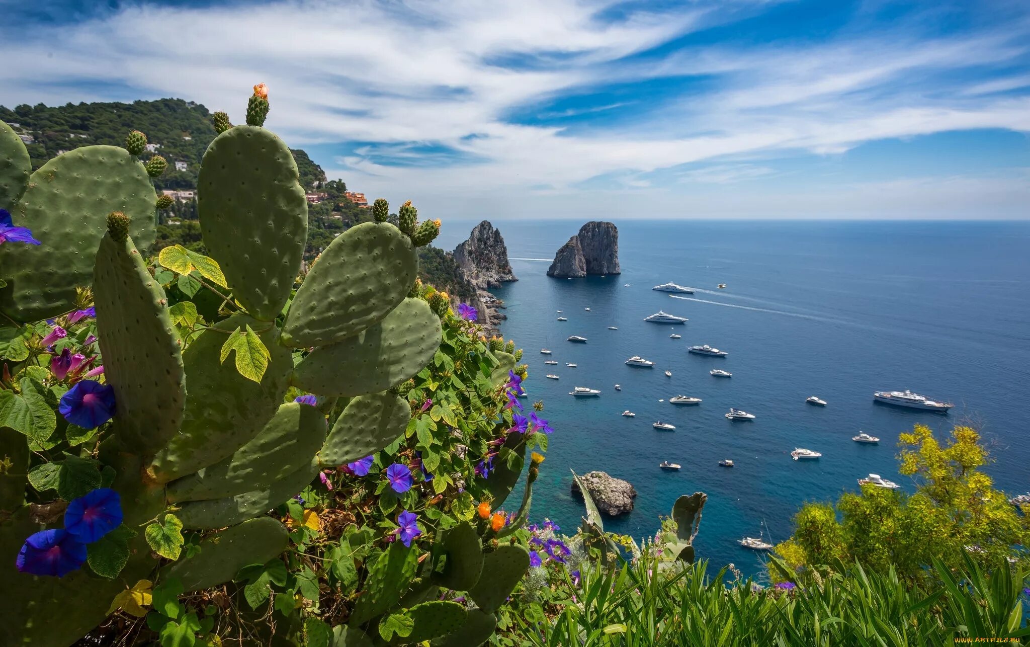 Капри Италия. Италия природа капри. Остров Сицилия. Сицилия море цветы горы. Растения средиземноморья