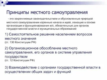 Общие принципы местного самоуправления это