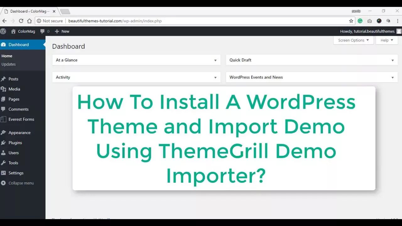 Wordpress demo. THEMEGRILL Demo Importer. THEMEGRILL Demo Importer лого.