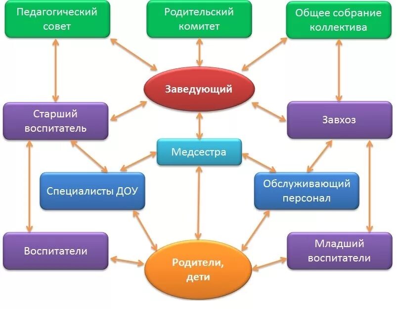 Виды руководителя образовательной организации. Виды руководителя образовательной организации