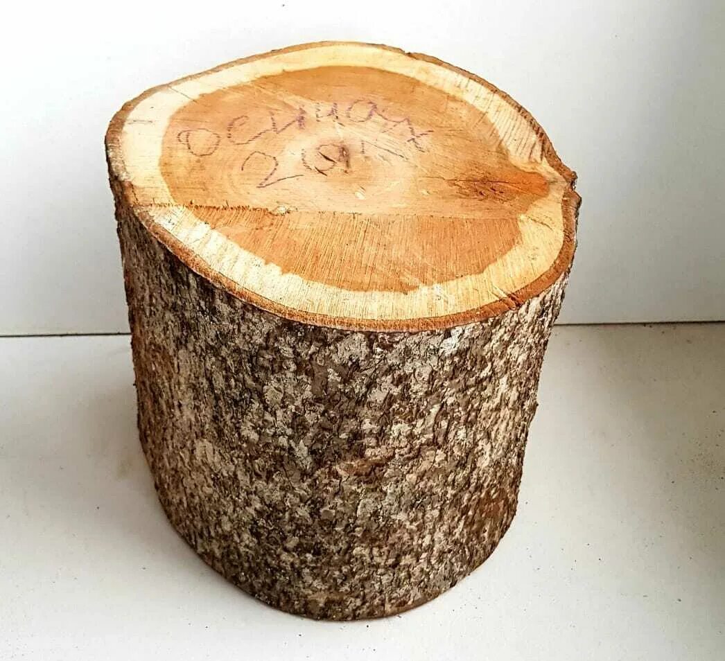 Дубовый пень. Пенек. Продам пень. Пень с корнями. Пень из дуба.