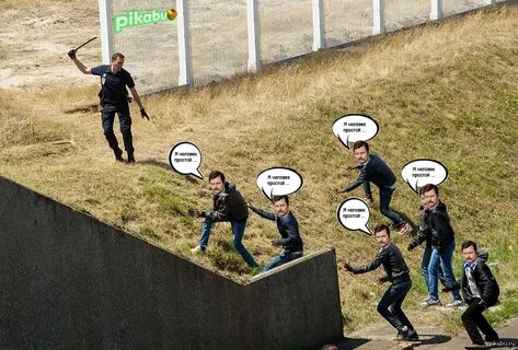 Пикабу неделю