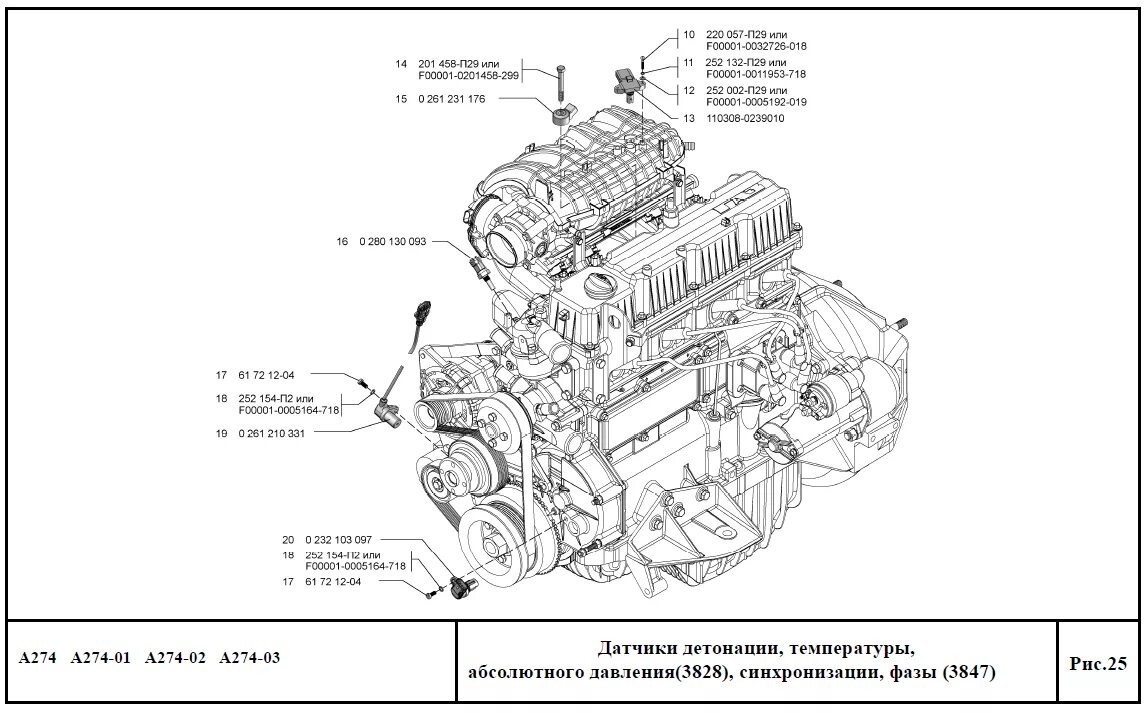 Схема ремня умз 4216. Некст эвотек схема. Датчик давления масла эвотек 2. Кронштейн крепления компрессора умз 4216. Топливная система умз 4216 евро 4.