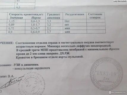 Узи сердца время