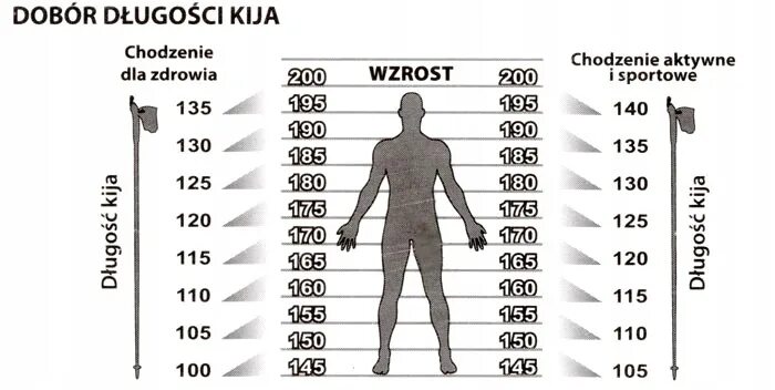 Как подобрать трость по росту. Подобрать треккинговые палки по росту. Палки для скандинавской ходьбы Размеры. Подобрать размер палок для скандинавской ходьбы. Палки для ходьбы размер по росту.