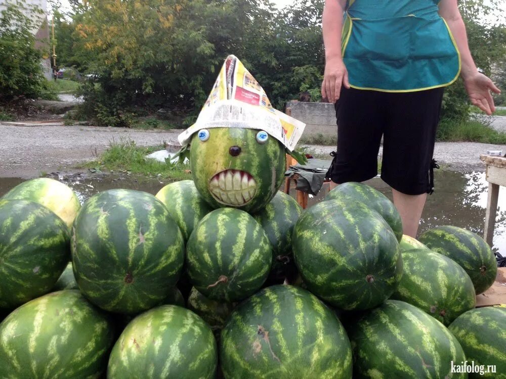Дыни приколы. Ржачные надписи на рынке. Смешные овощи и фрукты. Дыня банан. Прикольный арбуз.