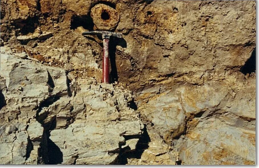 Native king kong 1933. David hirst. Шумеры летательный аппарат. Австралийская экспедиция 1918. Ancient explorers.