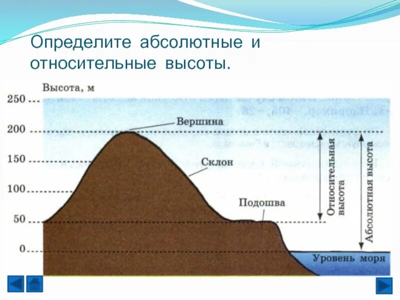 Определение высоты на карте. Относительная и абсолютная высота изображение рельефа на карте. абсолютная и относительная высоты на плане местности. как определить относительную высоту холма 5. абсолютная и относительная высота 5 класс география.