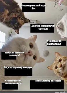 Я сделал ну и на