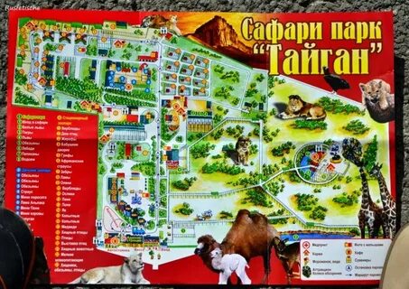 Как добраться до тайган парка