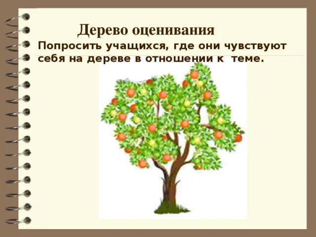 Дерево оценивания. Дерево успеха. Дерево успеха для оценивания детей. Дерево для урока. Урок дерево 8 класс