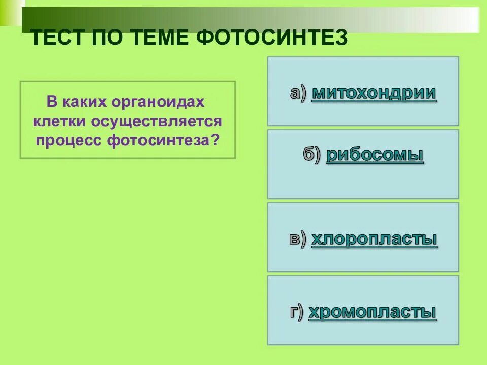 Процесс фотосинтеза осуществляется в органеллах клетки тест