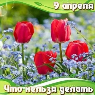 Чего нельзя делать 9 апреля 2024 года