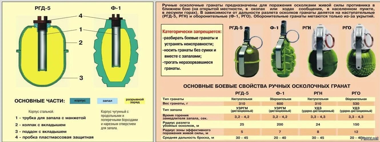 Ргд 5 радиус убойных осколков. Ф-1 граната радиус разлета осколков. Габариты гранаты ф1. Радиус осколков гранаты ф 1. ТТХ ф1 гранаты.