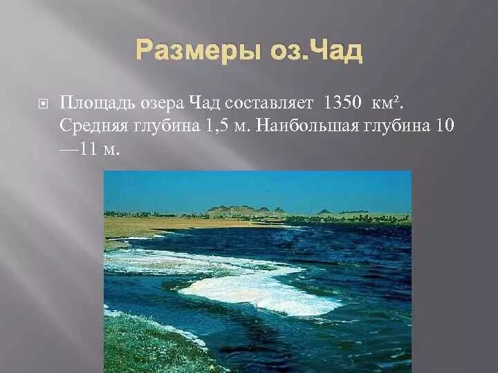 Площадь чада озеро. Площадь чада озеро