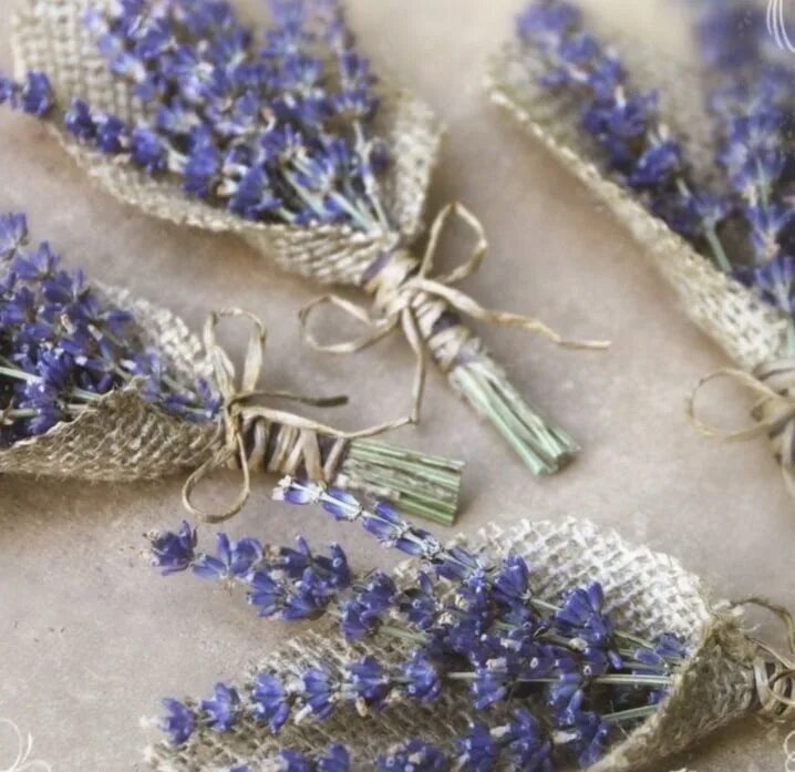 Снопик лаванды. Лаванда для травника. Зелень из гофрированной бумаги. Лаванда шерстистая. Снопик лаванды.