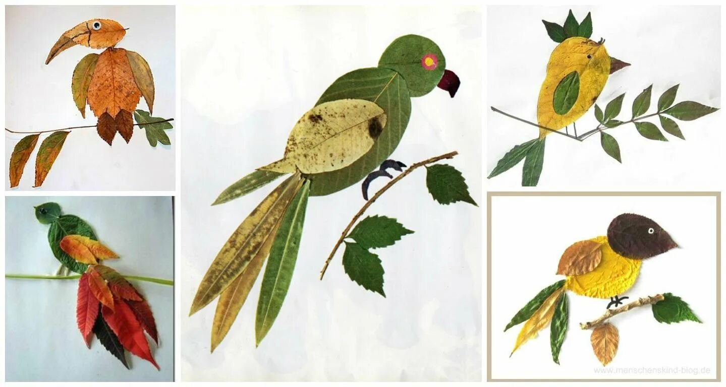 Птичка из листьев аппликация. Птица из листьев. Птица из листьев аппликация. Аппликации из листьев для детей. Птичка из природного материала.