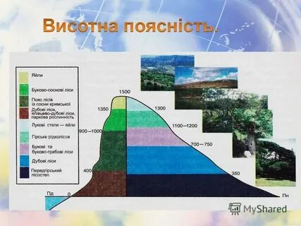 Высотная поясность крыма