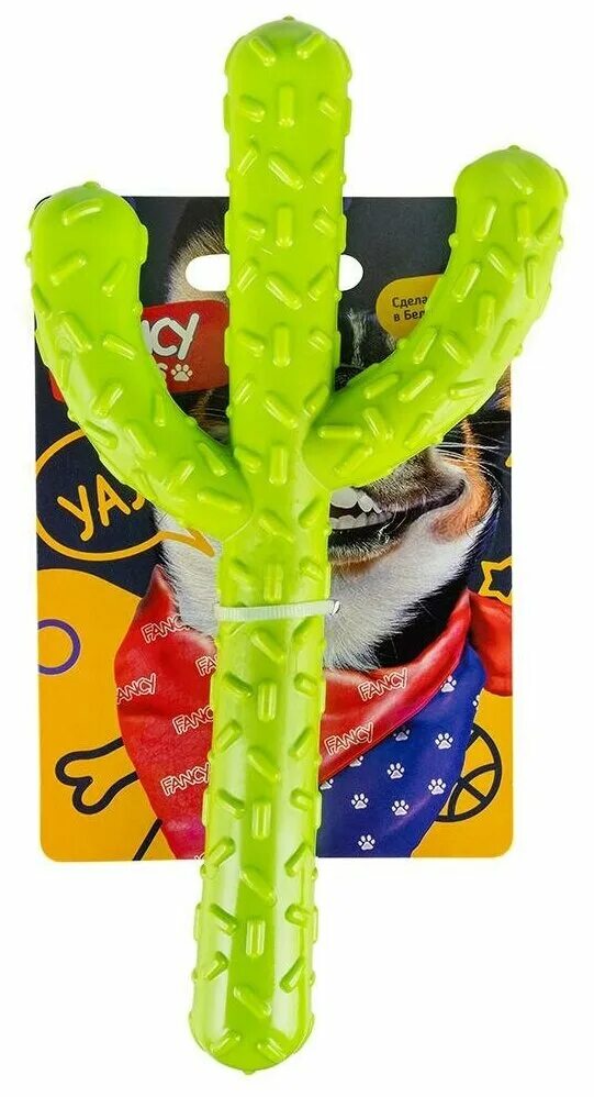 кактус собака