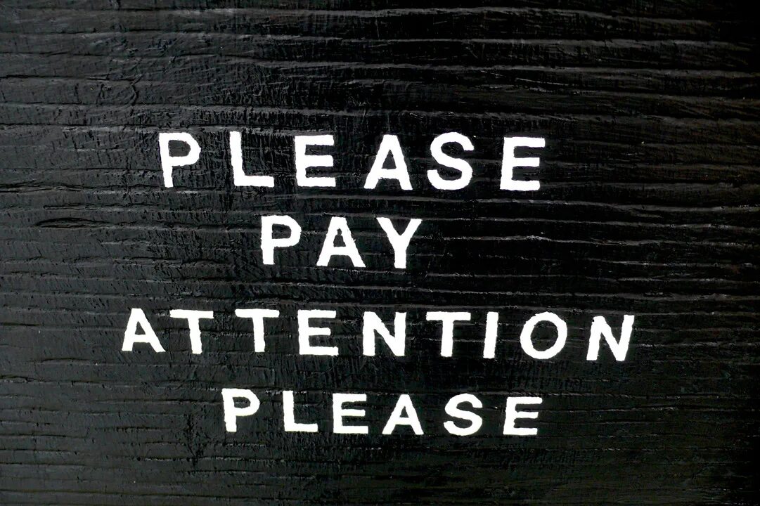 You don t have to pay. Please pay attention. pay attention фото. please pay. pay attention logo.