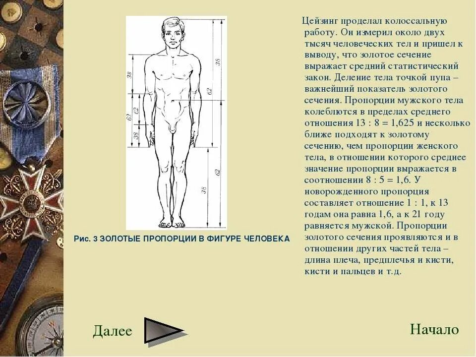 История золотого сечения. Золотое сечение в теле человека. История золотого сечения. Золотое сечение кеплер. История золотой пропорции.