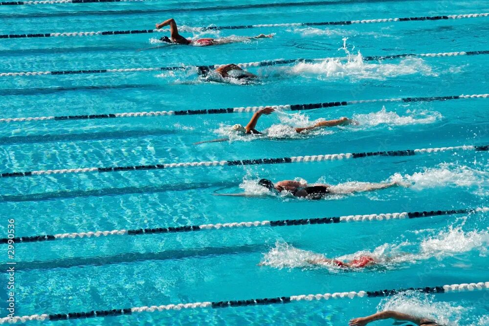 Плавание. Swim википедия. Кэти ледеки плавание. Водный спорт. Breaststroke.