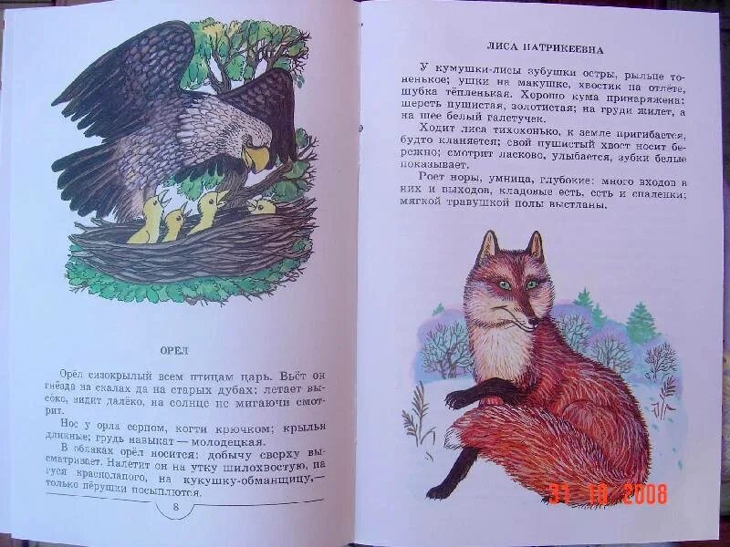 Плутишка кот читать. Плутишка кот ушинский. константин ушинский плутишка кот. к д ушинский книги плутишка кот. ушинский сказка плутишка кот.