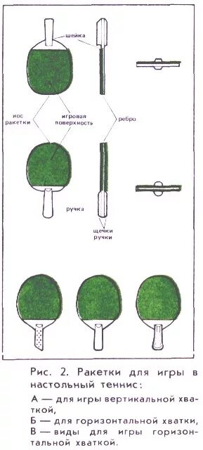форма ракетки для настольного тенниса atemi 800. толщина ручки для ракетки настольного тенниса. чертеж ракетки для настольного тенниса. чем отличаются стороны ракетки для настольного тенниса. ракетка для настольного тенниса yashima.