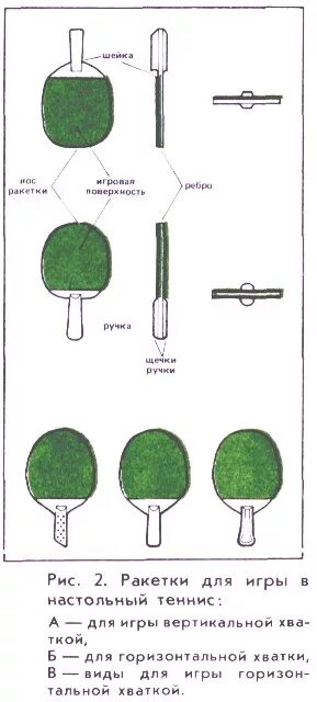Высота ракетки для настольного тенниса. Чертеж ракетки для настольного тенниса. Габариты теннисной ракетки для настольного тенниса. Чертеж теннисной ракетки для настольного тенниса. Из каких частей состоит теннисная ракетка для настольного тенниса.