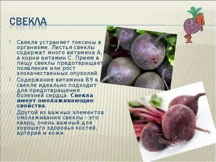 Какими свойствами обладает свекла