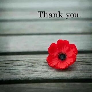 Poppy day