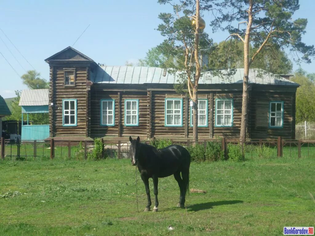 Погода благодарное тюльганский. Троицкое Тюльганский район. Село Троицкое Тюльганский район. Алтайский край Троицкий район село Троицкое. Село Троицкое Оренбургская область Тюльганский район.