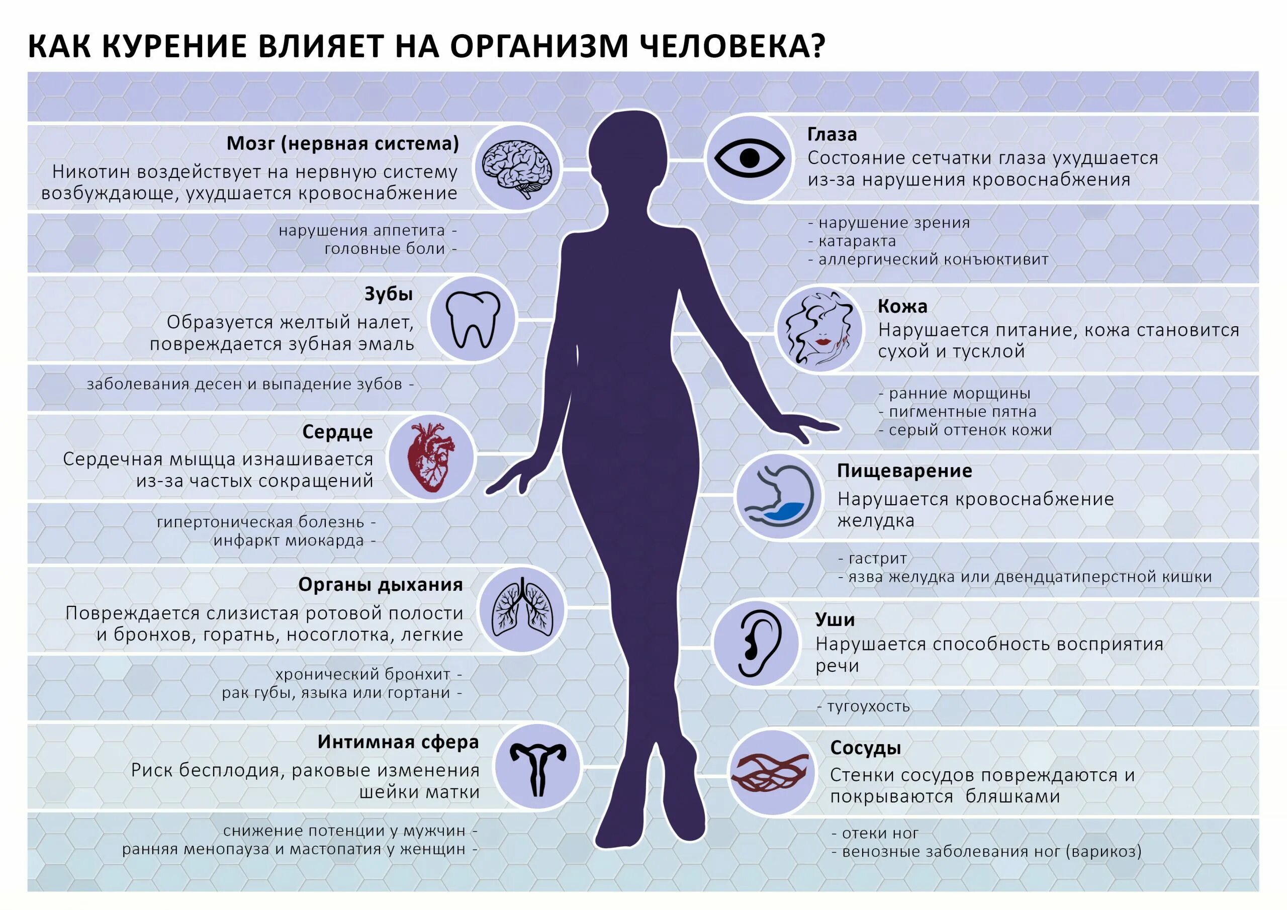 Привести к различным заболеваниям. Как курение влияет на организм человека. Влияние курения на организм. Влияние табакокурения на организм человека. Влияние сигарет на организм человека.