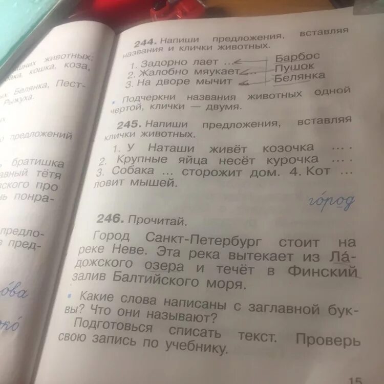 Прочитай подбери и запиши к тексту заголовок. Напиши предложения вставляя названия и клички. напиши предложения вставляя клички животных. запиши предложения вставляя названия и клички животных. предложения с кличками животных 1 класс.
