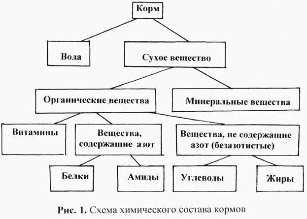 Основные группы кормов. Схема зоотехнического анализа химического состава кормов. Схема химического состава корма. Составьте схему химического состава кормов.. Начертите схему химического состава кормов.